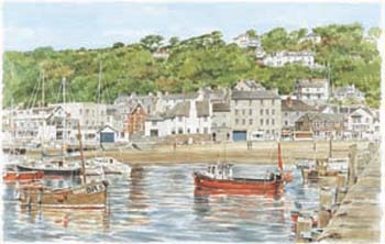 lymeregisdorset
