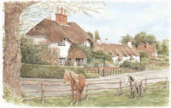 newforestcottages