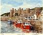 0004conwycastle.jpg