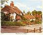 0371newforestcottagesswangreen.jpg