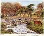 0851dartmoorpostbridge.jpg