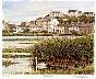 0981torcross.jpg