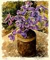 fl0012violets.jpg