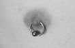 Nipples Piercing