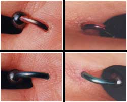 Hand Web 4 weeks old