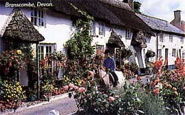 Branscombe, one of many beatiful villages near-by.