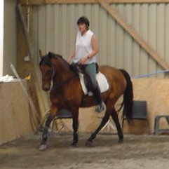 Luchia trot