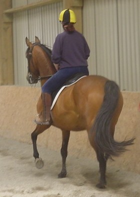 Luchia rising trot