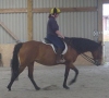 Sue rides Luchia
