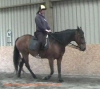 Sue rides Luchia