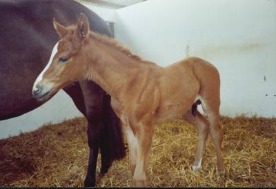 Sunny recently born