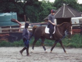 Sunny and Wez trot