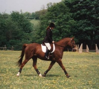 Sunny trotting