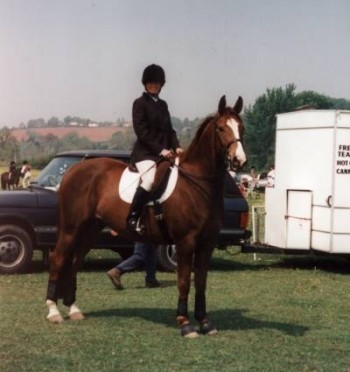 Sunny at the show