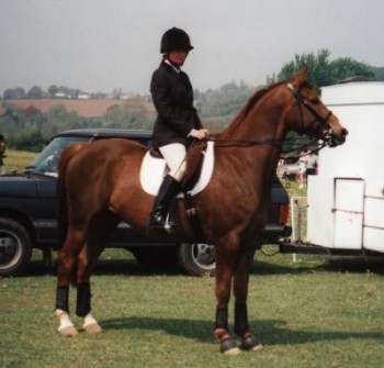 Sunny at the show