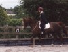 Lesha rides Sunny