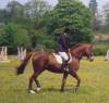 Sunny at his first show