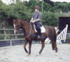 Wez rides Sunny