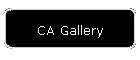 CA Gallery